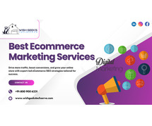Top Ecommerce SEO Services in Noida—Wish Geeks Tehserve