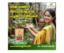 Buy Organic Vegetable Seeds Online - Mahaagrin