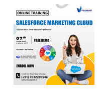 Learn SFMC from Experts – Free Online Demo