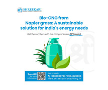 Tev consultant in india