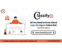 Affordable Lean Six Sigma Certification Cost