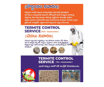 Best Ant Pest Control Services in Kurnool