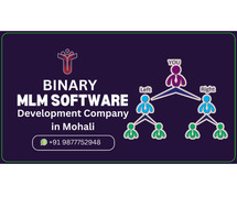 MLM Software Development Company in Mohali