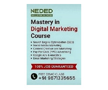 Best Digital Marketing Course & Training Institute in Rohtak With Placement