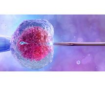 Best IVF Centre in Agra – Blossoms Hospital for Advanced Fertility Treatment
