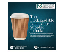 Top Biodegradable Paper Cups Supplier in India