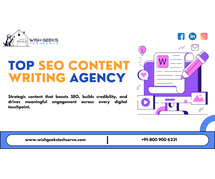 Best Content Writing Services in Noida-Wish Geeks Techserve