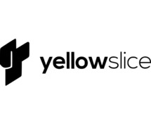 UI UX consultant