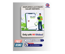 Simplified & Accurate Salary Reports with HR Globes