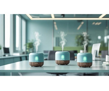 Professional Scent Marketing Companies for Every Commercial Need