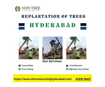 Replantation of Trees In Hyderabad