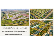 Trident Plots In Haryana With Exquisite Interior Designs