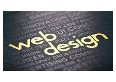 Start Your Creative Career with Best Web Designing Course