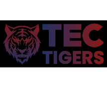 Managed it service provider globally