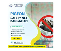 Pigeon Safety Nets in Bangalore