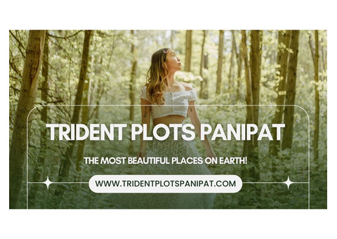 Trident Panipat - Upcoming Project In Haryana