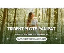 Trident Panipat - Upcoming Project In Haryana