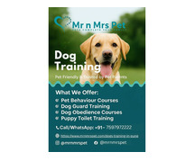 Dog Training in Pune