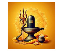 Mahamrutunjay Puja in Trimbakeshwar