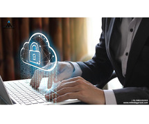 Data Privacy and Security Advisor