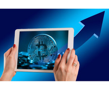Vanado Trade Review 2025: Is It Scam Or Legit?
