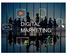 Best Digital Marketing Institute & Training in Jaipur