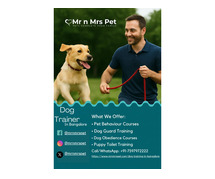 Dog Trainer in Bangalore