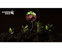 Best Uses of Vermicompost for Plants and Gardens