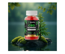 Terra Pro CBD Gummies Reviews 2025 – Real Results, Benefits & Side Effects
