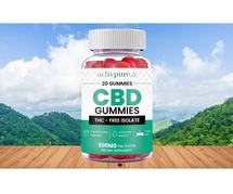 Terra Pro CBD Gummies: Your Daily Dose of Wellness