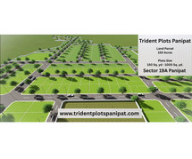 Trident Plots Panipat | Your perfect home awaits
