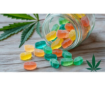 Global Health Farms CBD Gummies (Official™) - Is It Worth the Hype?