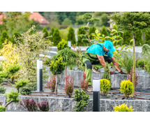 Landscape Contractors in  Los Altos – Marion Landscape Construction