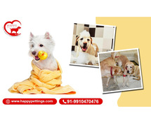 Trusted Dog Kennel in Gurgaon – HappyPettings