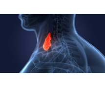 Thyroid Surgery Treatment - Neeti Clinics
