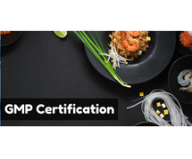 GMP Certification Services in Gurugram