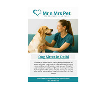 Dog Sitter in Delhi