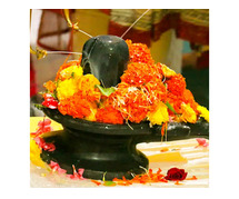 Kumbha Vivah Shanti Puja Vidhi & Benefits