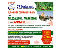 77 Data: Download the Top No.1 List of Companies in Assam