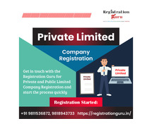 Private Limited Company Online Registration in Delhi