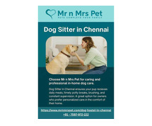 Dog Sitter in Chennai