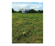 DTCP AND RARA APPROVED PLOTS FOR SALE AT VEPPAMPATTU