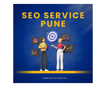 Seo expert pune