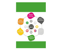 WebSofy – Trusted SMO Company in India