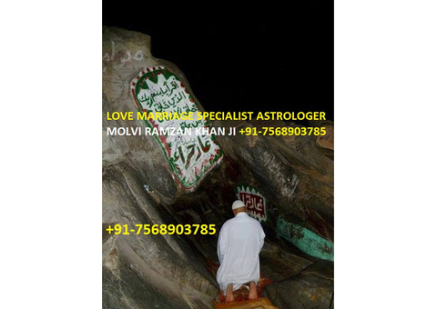 Love Vashikaran Specialist Molvi Baba Ji +91-7568903785