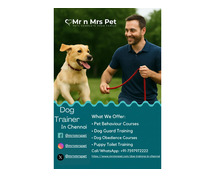 Dog Trainer in Chennai