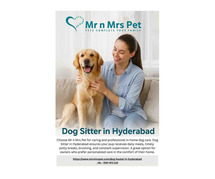 Dog Sitter in Hyderabad