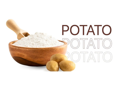 Top Potato Starch Manufacturers in India – Santosh Starch Products Limited | Bulk Supply Available