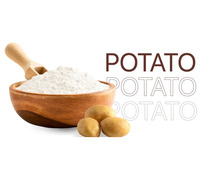 Top Potato Starch Manufacturers in India – Santosh Starch Products Limited | Bulk Supply Available