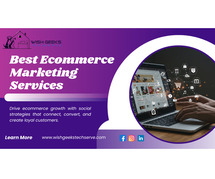 Best Ecommerce Social Media Marketing Agency in Noida—Wish Geeks Techserve